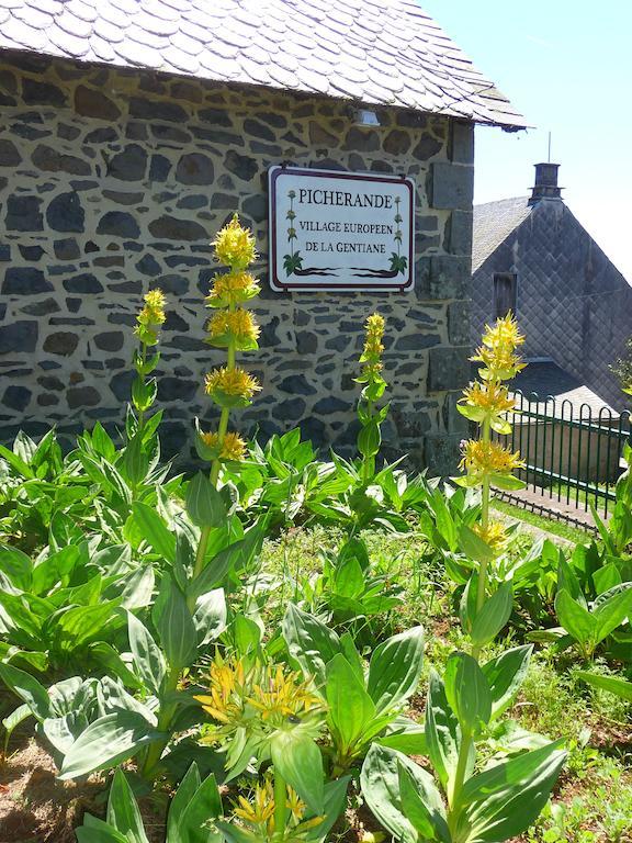 Aux Balcons Du Sancy Picherande