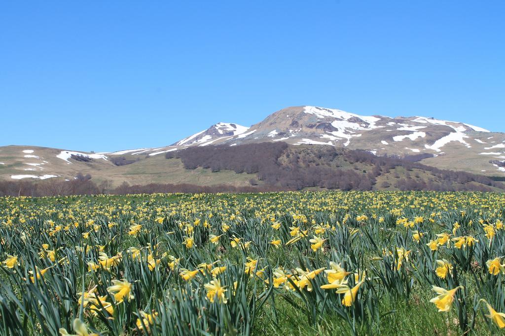 Aux Balcons Du Sancy Aparthotel Picherande